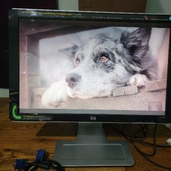 HP W2408 24” Widescreen HDMI LCD Monitor 1920x1200 