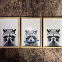 SRSZHIYUE Funny Raccoon Bathroom Wall Decor 16"x11" Set of 3 Bathroom Laundry Room Art Humorous Restroom Toile Animal Prints Sign Above the Bathtub Wa