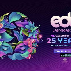 EDC 2021 Las Vegas 3-Day Pass (SUNDAY WRISTBANDS) 