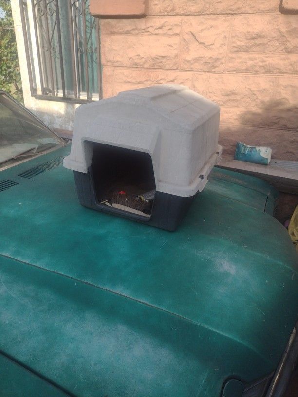 Dog House