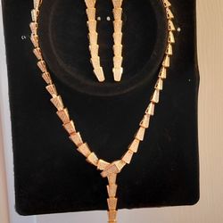 Brand new staniless steel necklace and earring 
