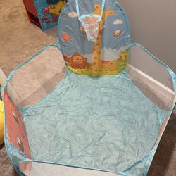 Ball Pit With A Hoop & Carrier