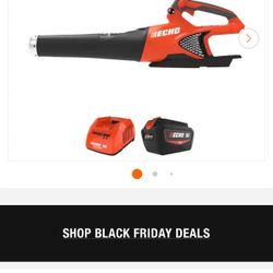 Christmas Gift!!! Electric Blowers Echo