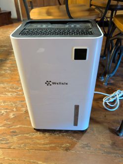 Wellsle Dehumidifier