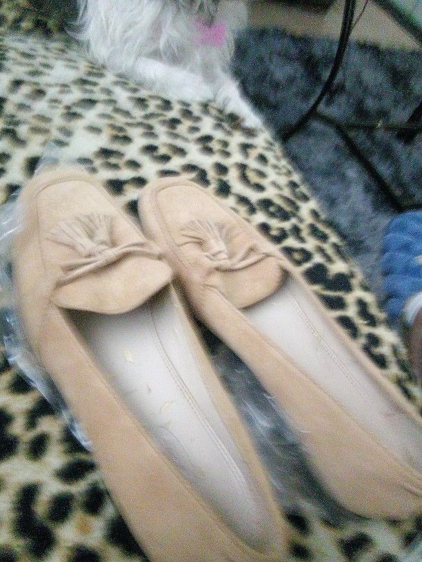Talbot Ladies Suede Shoes