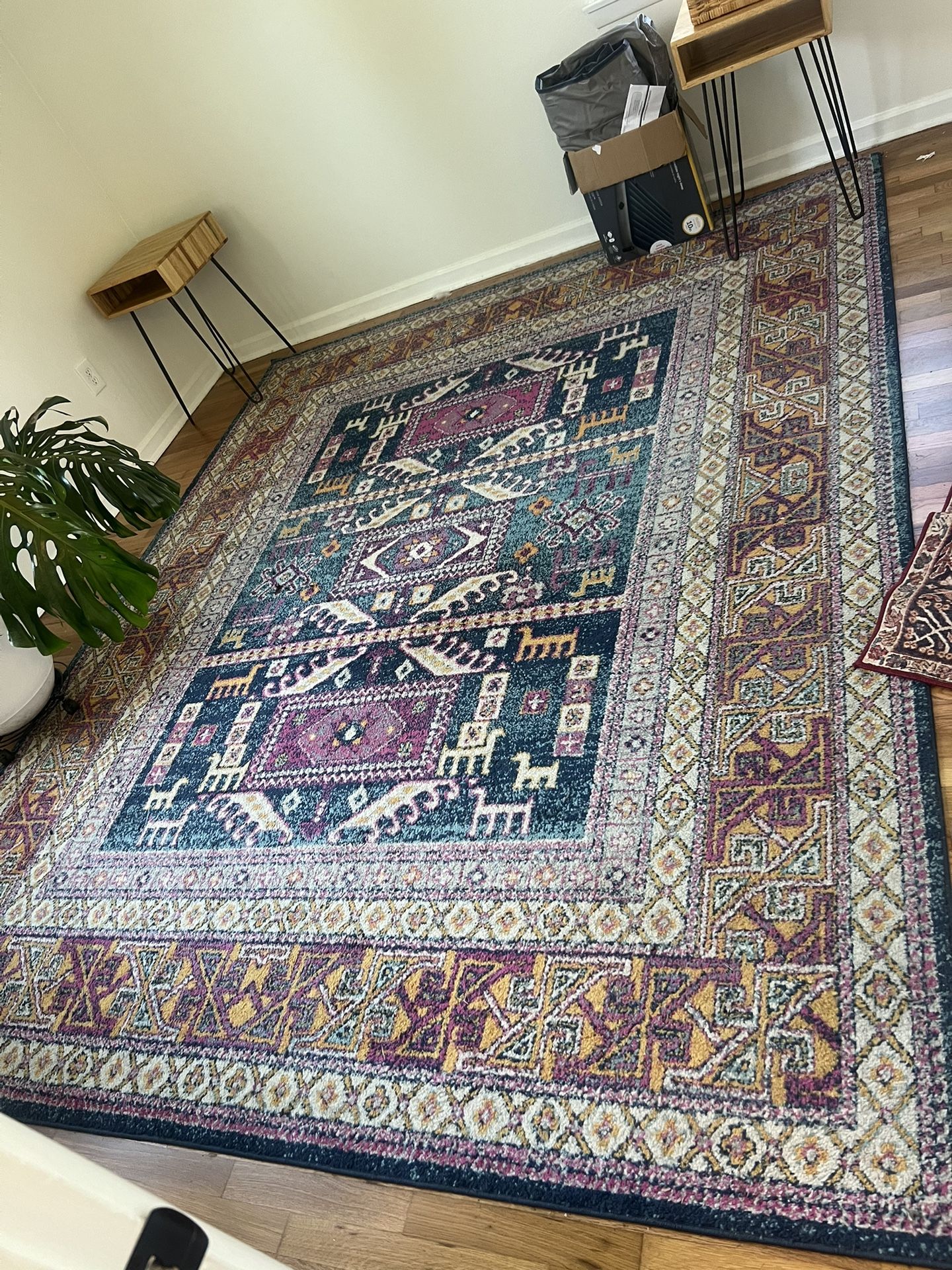 Beautiful 8x10 Rug!