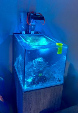 Waterbox 25 Peninsula