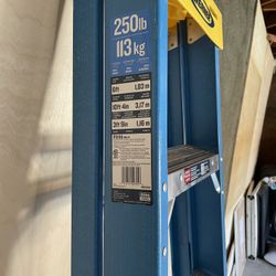 Ladder New Werner Fiberglass The Big 6ft