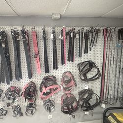 Dog collar and leashes