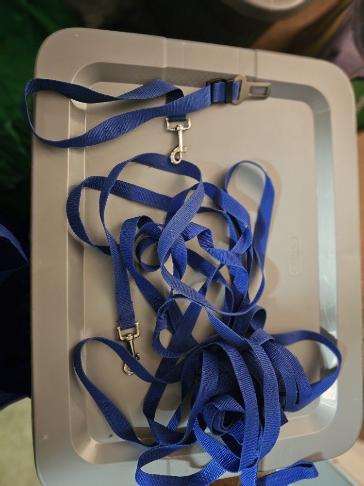 Dog Tie Out Cable & Car Seat Belt