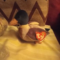 Beanie Baby Jake The Duck Rare Don't Forget To Talk