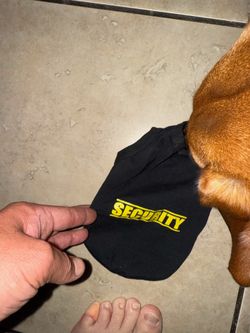 Small dog shirt