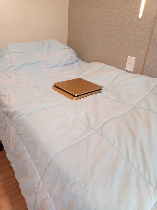 PS4 Gold Limited Edition