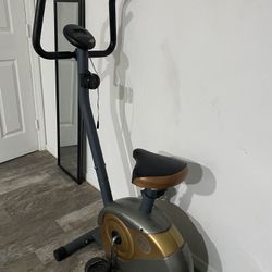 Workout tricycle 
