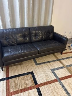 Contemporary Dark Brown Leather Two-Seater Sofa