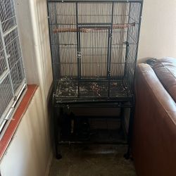 Bird Cages