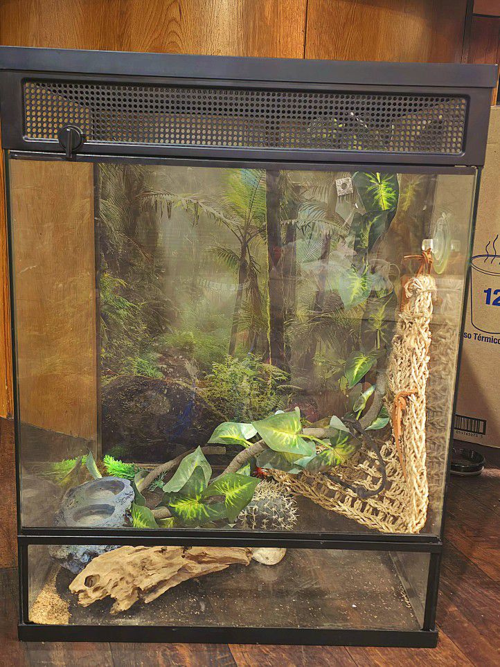 Reptile Cage Can Be Used By Bearded Dragon And More!