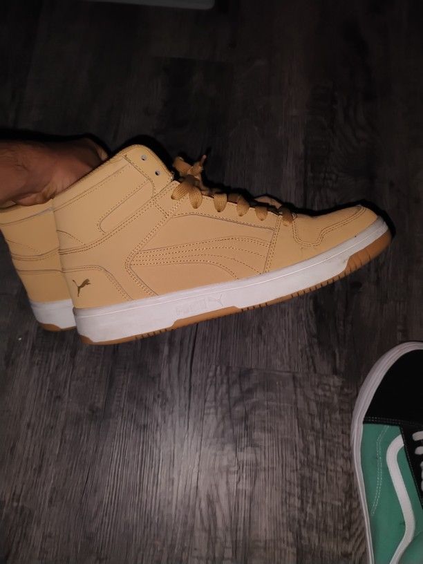 Yellow Pumas
