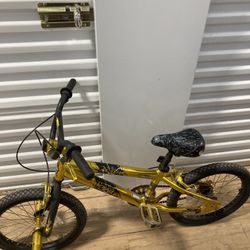 18 Inch Arigo Bike 
