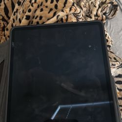 iPad Pro 12.9inch 4th Gen 256 Gb