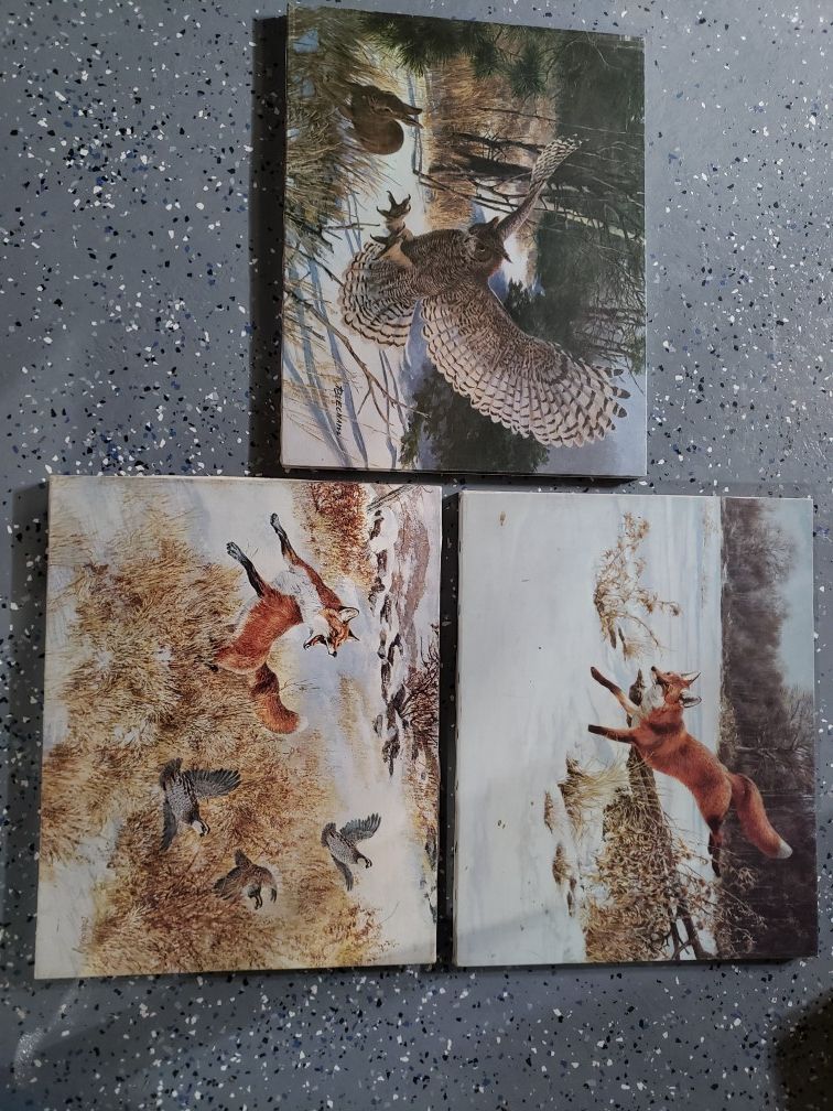 Wildlife painted canvas