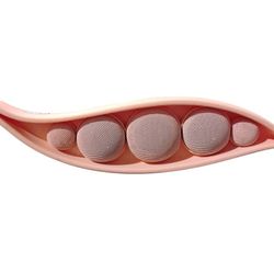 pea wireless speaker bluetooth