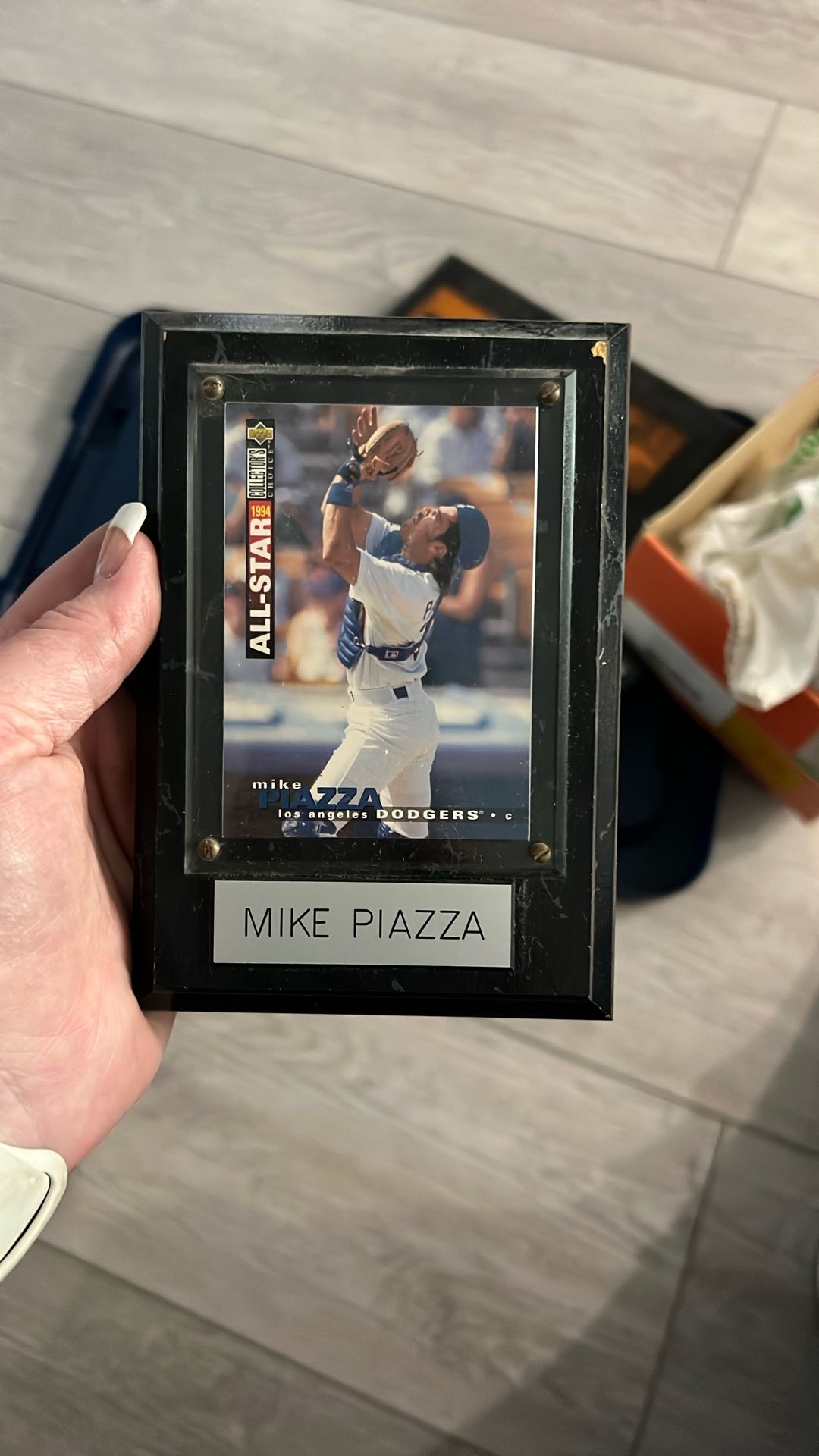 Mike Piazza Baseball Card
