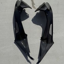 2011 BMW S1000rr Carbon Fiber