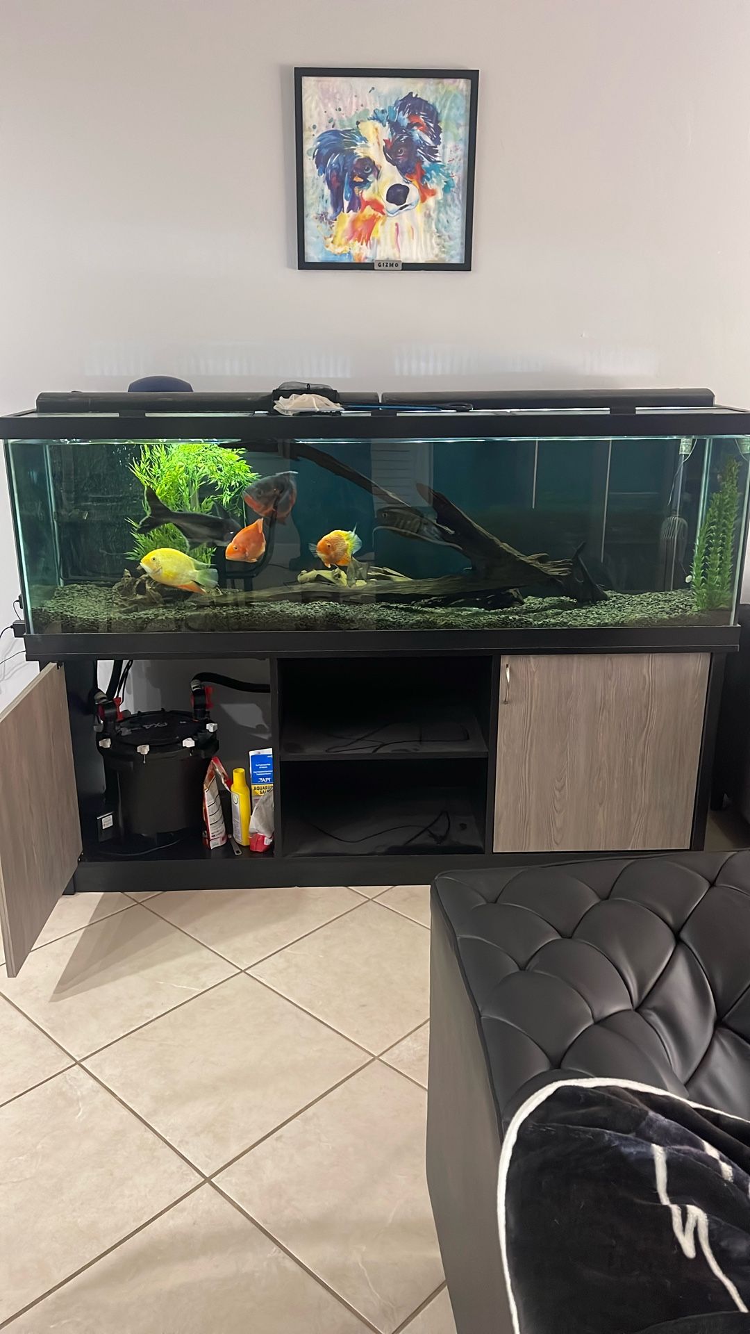 125 Gallon Tank
