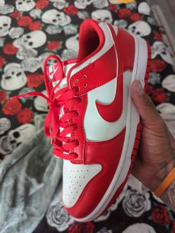 Nike dunks size 9.5