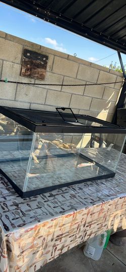 Reptile Tank