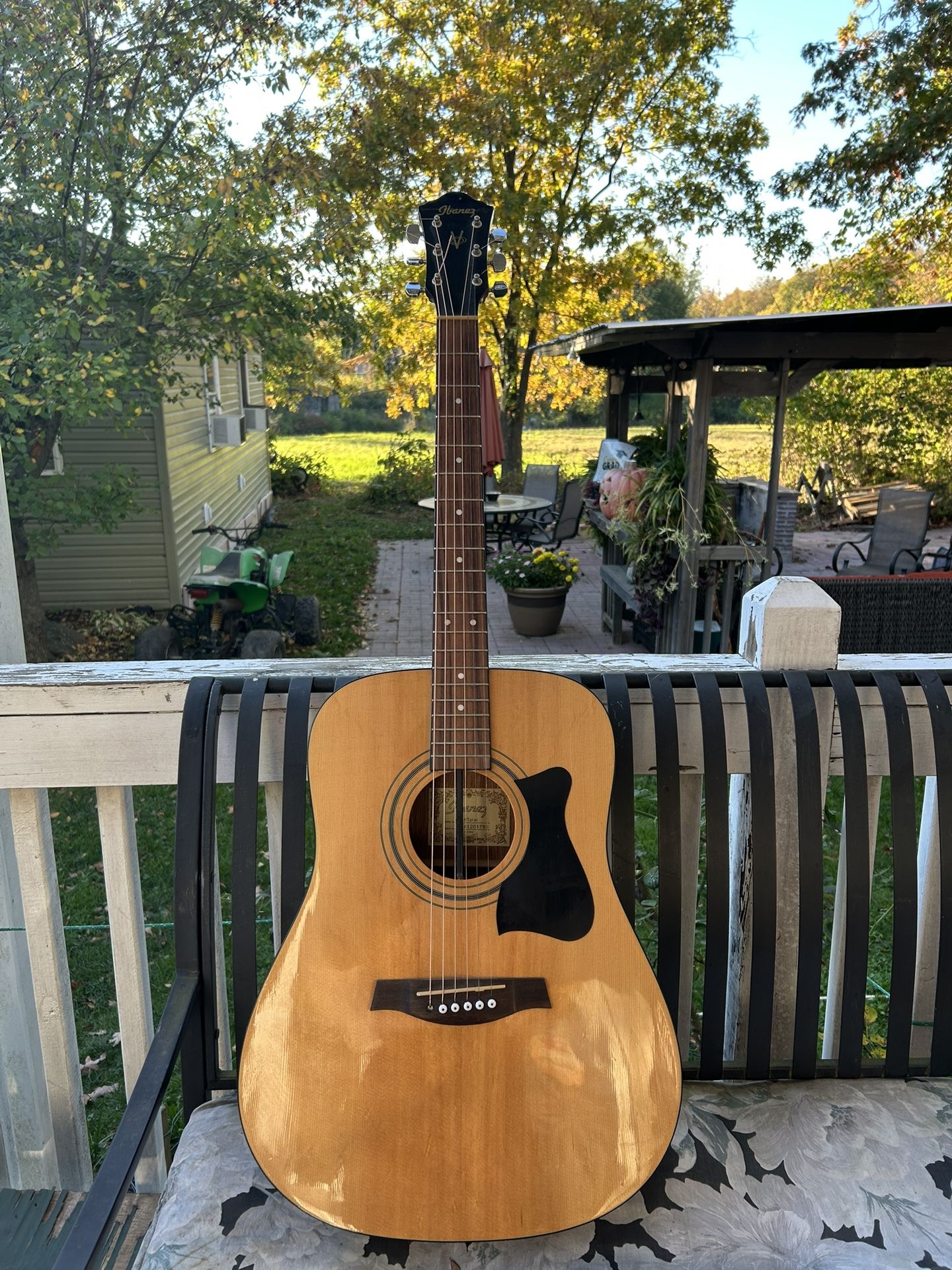 Guitar (Ibanez)