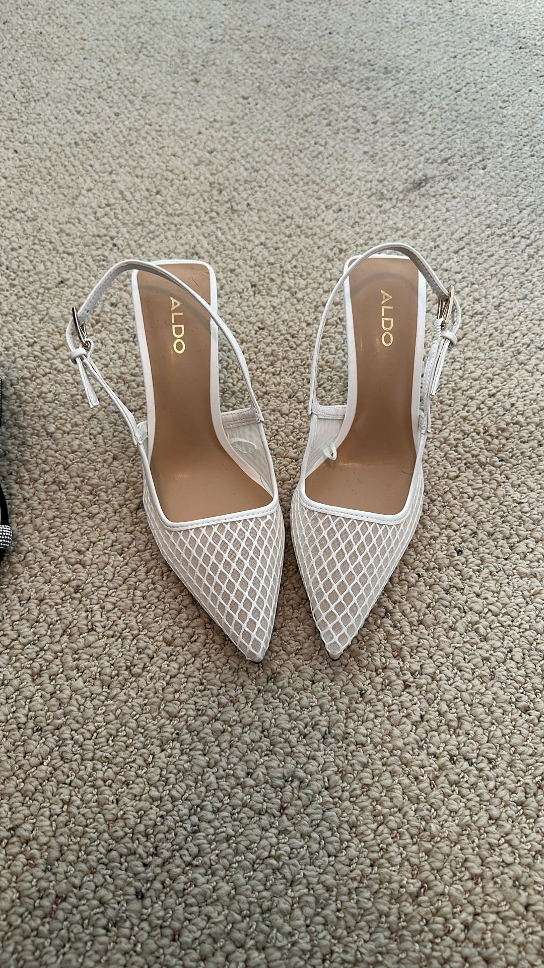 Aldo Heels