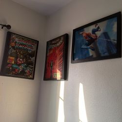 Spider-Man Picture Frame 