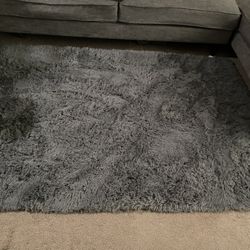 Gray area rug