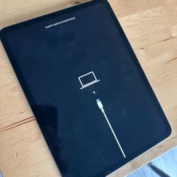 iPad Pro 2018 11inch  256gb Needs Restore