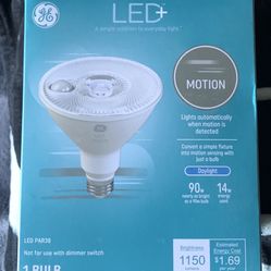 LED motion bulb