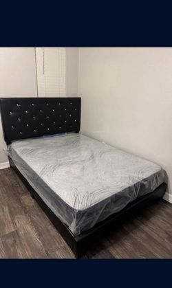 New Queen + Mattress 