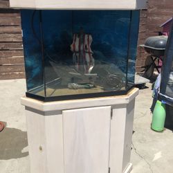 60 GALLON GLASS CORNOR FISH TANK 