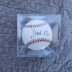 Signed Fred Mcgriff Tampa Bay Rays Atlanta Braves Blue Jays Cubs Auto MLB Baseball Autograph