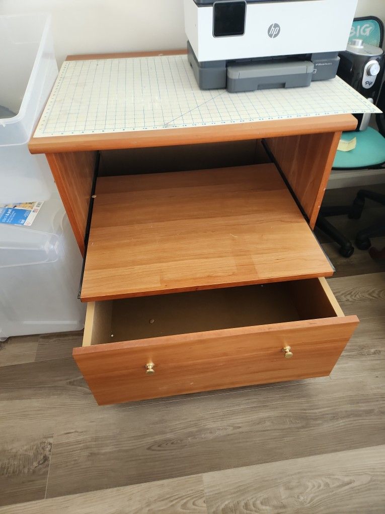 Heavy Woid Printer Dtand With Pull Out Shelf Snd File Drawer Letter Or Legal