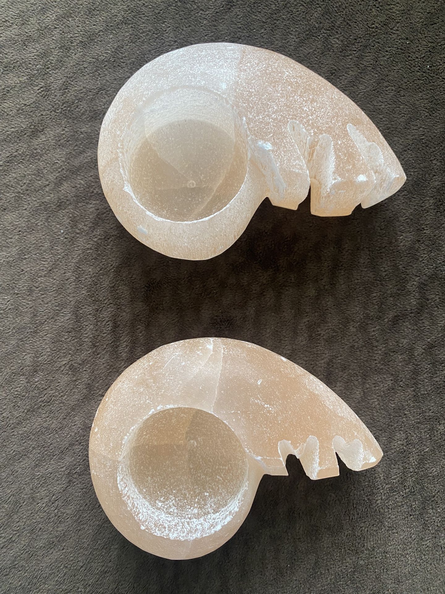 Seashell Carved Votive Tea light Candle Holders