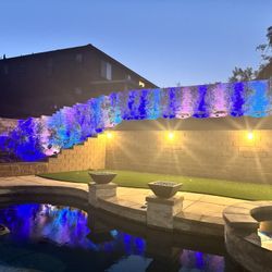 Indoor/Outdoor Lights 