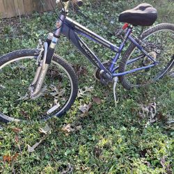 Woman’s Schwinn Bicycle