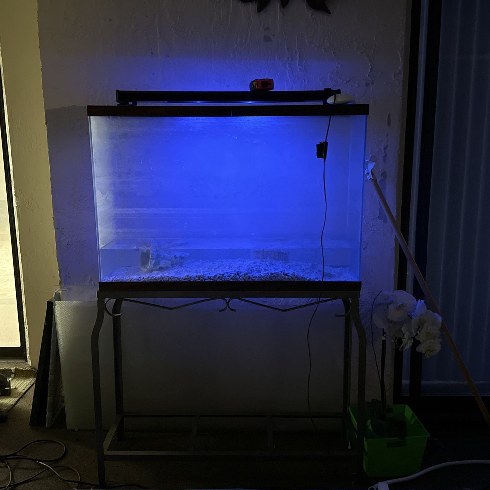 Fish Tank, Stand , And Light 40 Gallons 