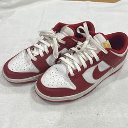 Nike Dunks Size 10