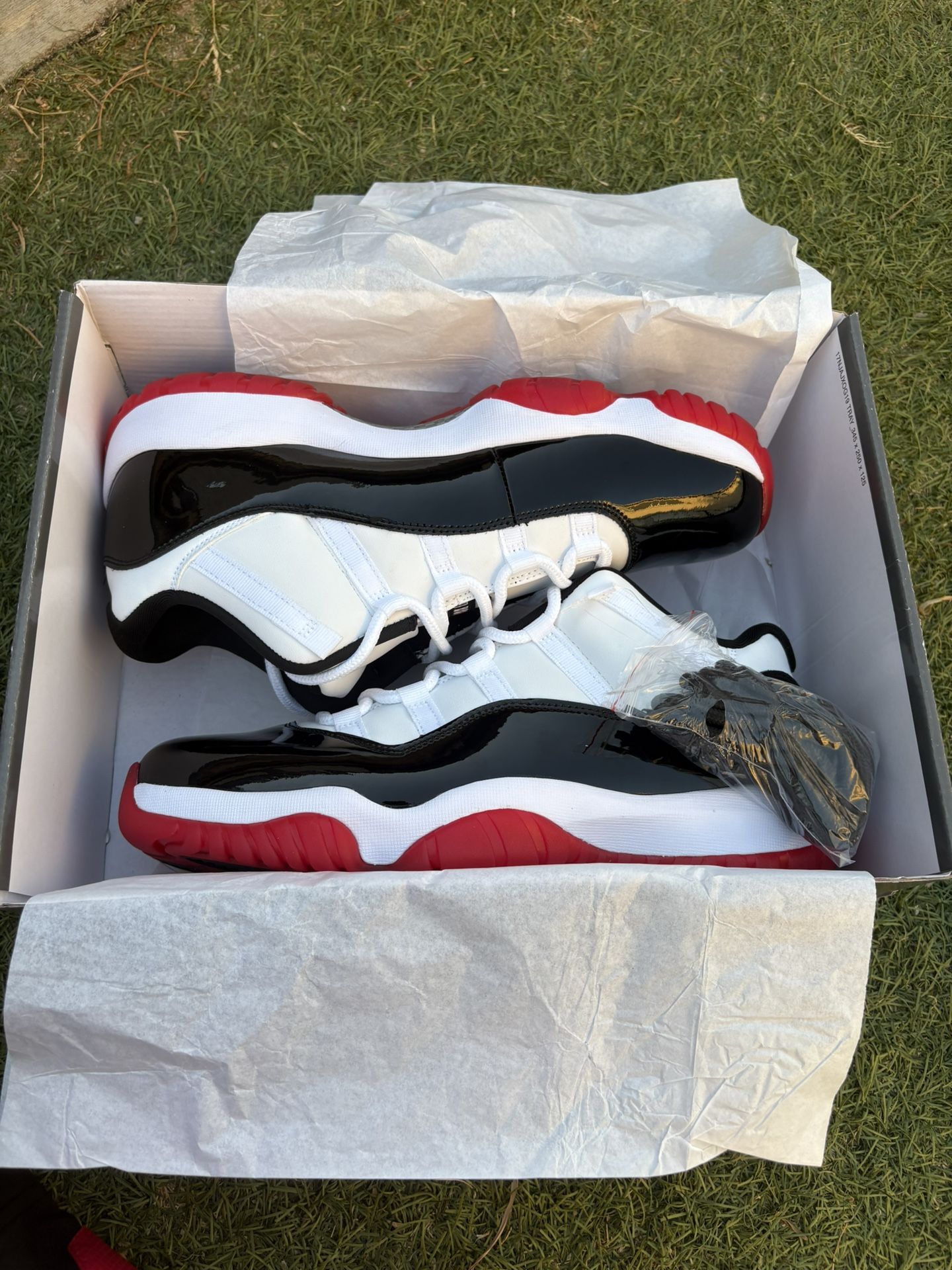 Jordan 11 low concord bred