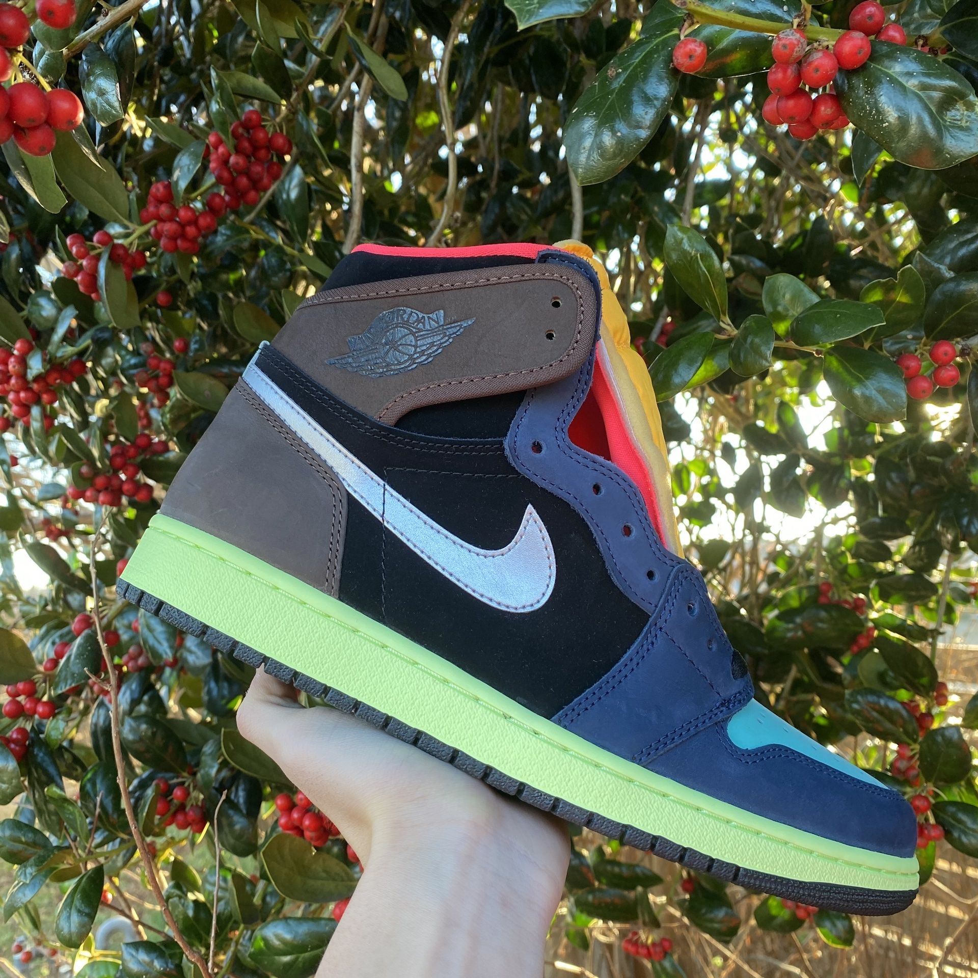 Jordan 1 Retro High OG “Biohack”