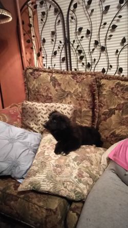 Nice brown boots, worn once , ladies size 8