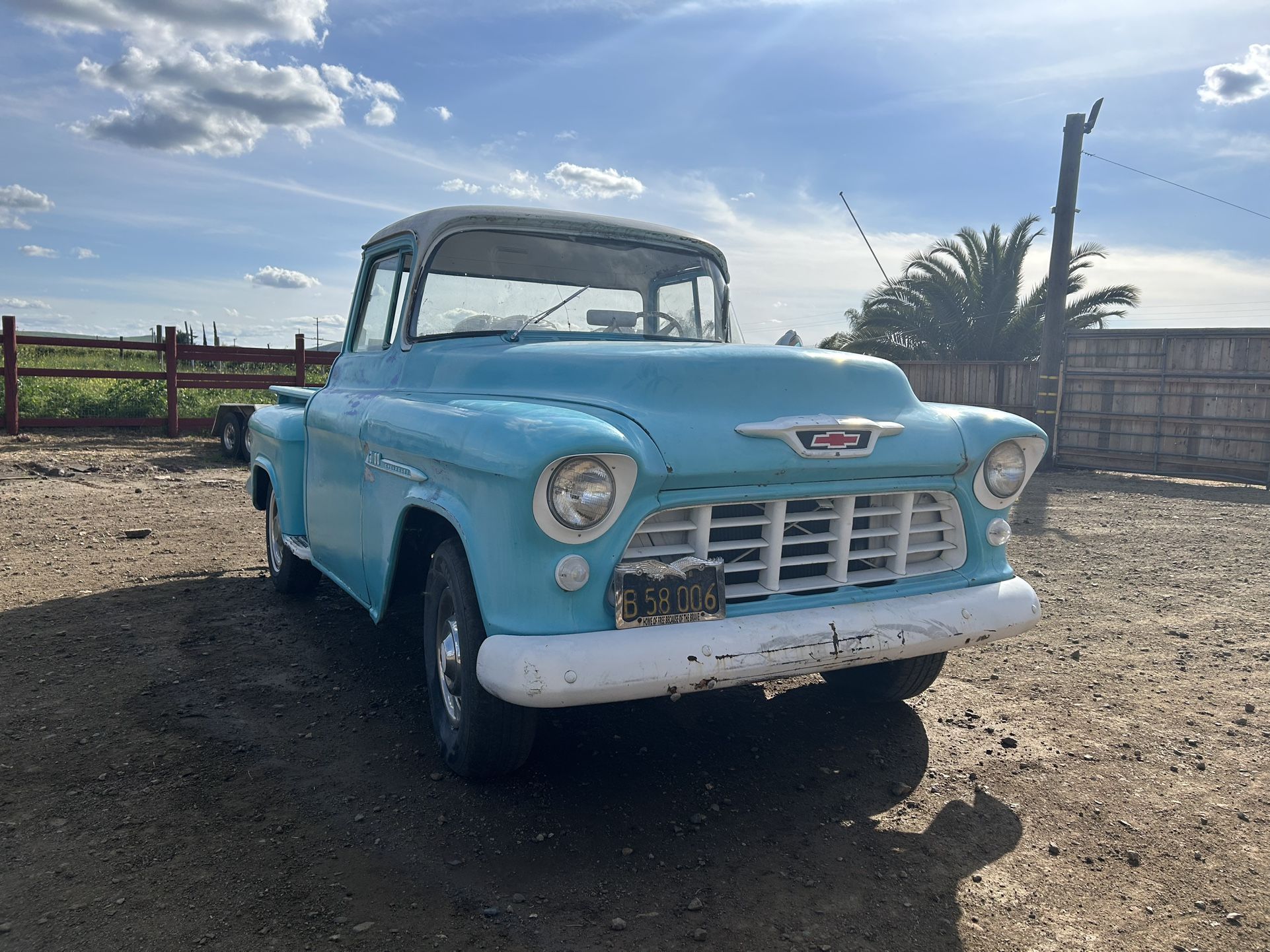 1955 Chevy 3100 Truck
